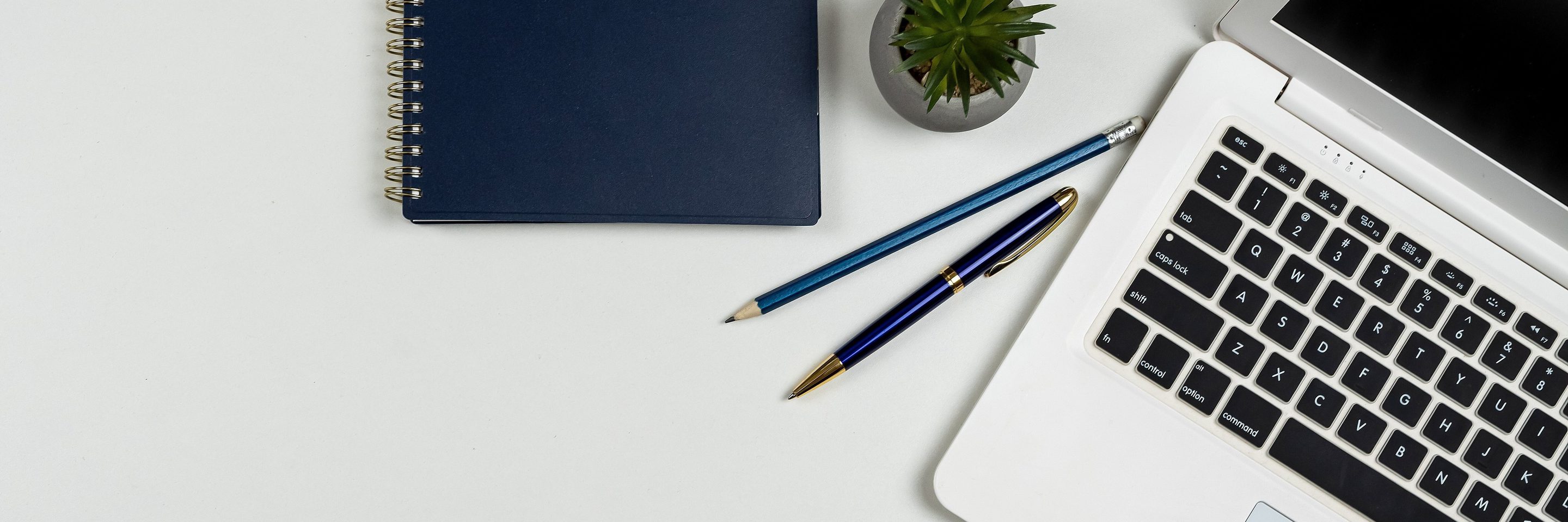 Adobe Stock 646368583