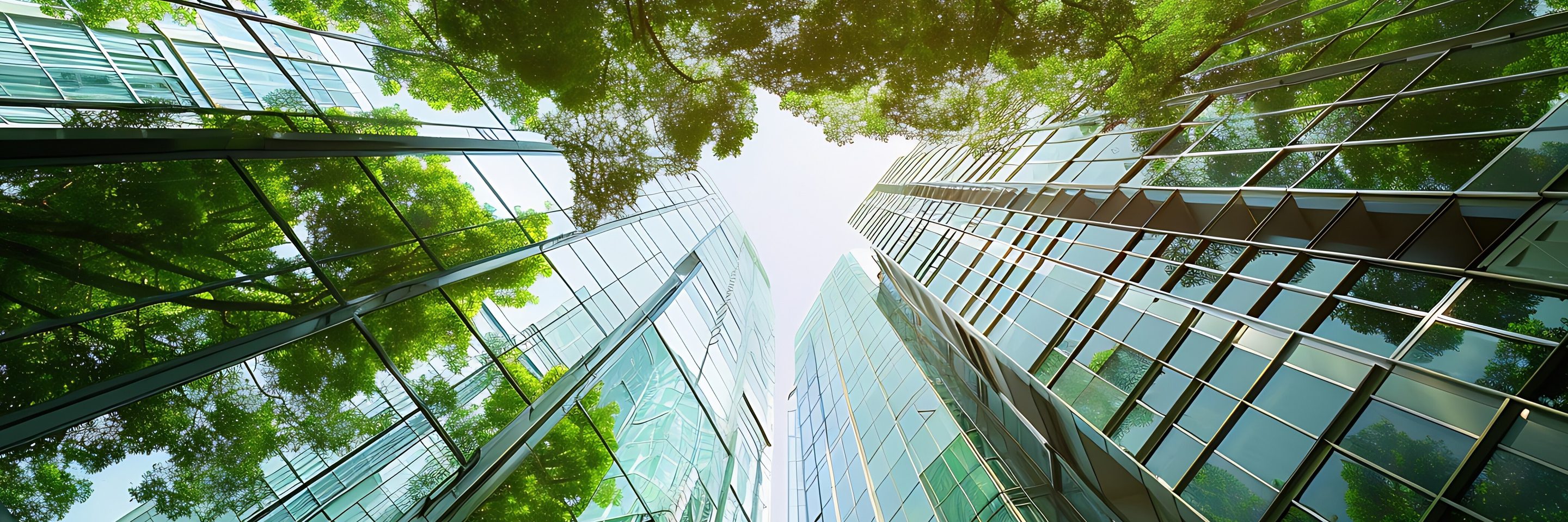 Adobe Stock 815349088