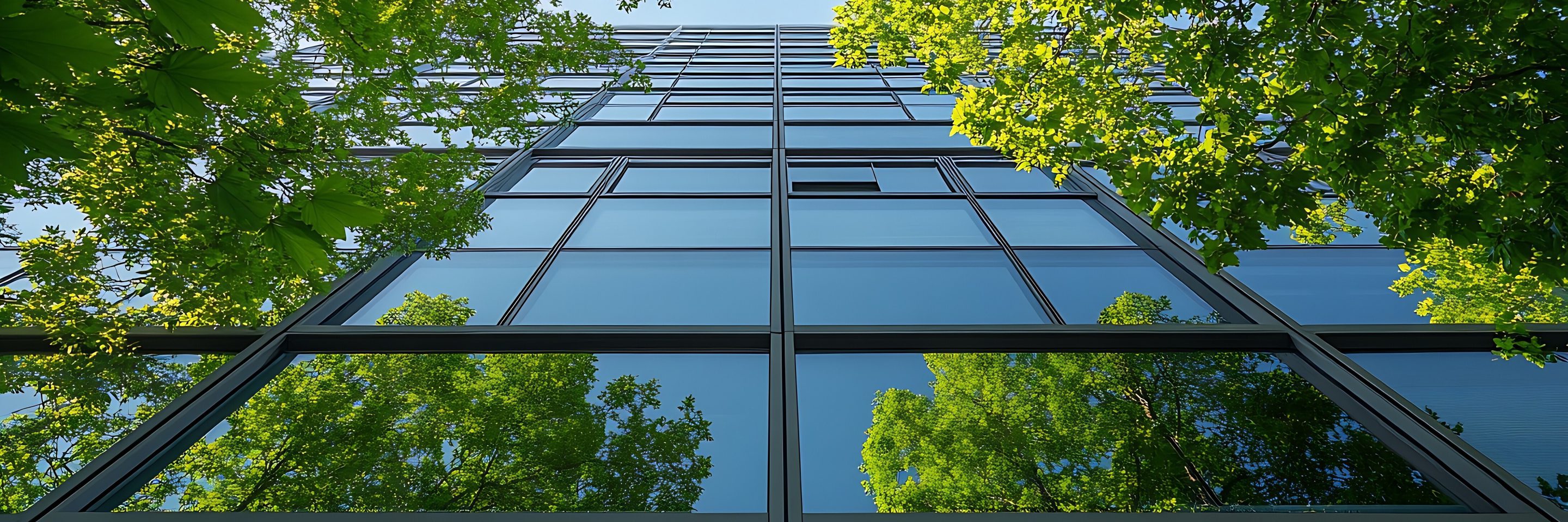 Adobe Stock 952312517
