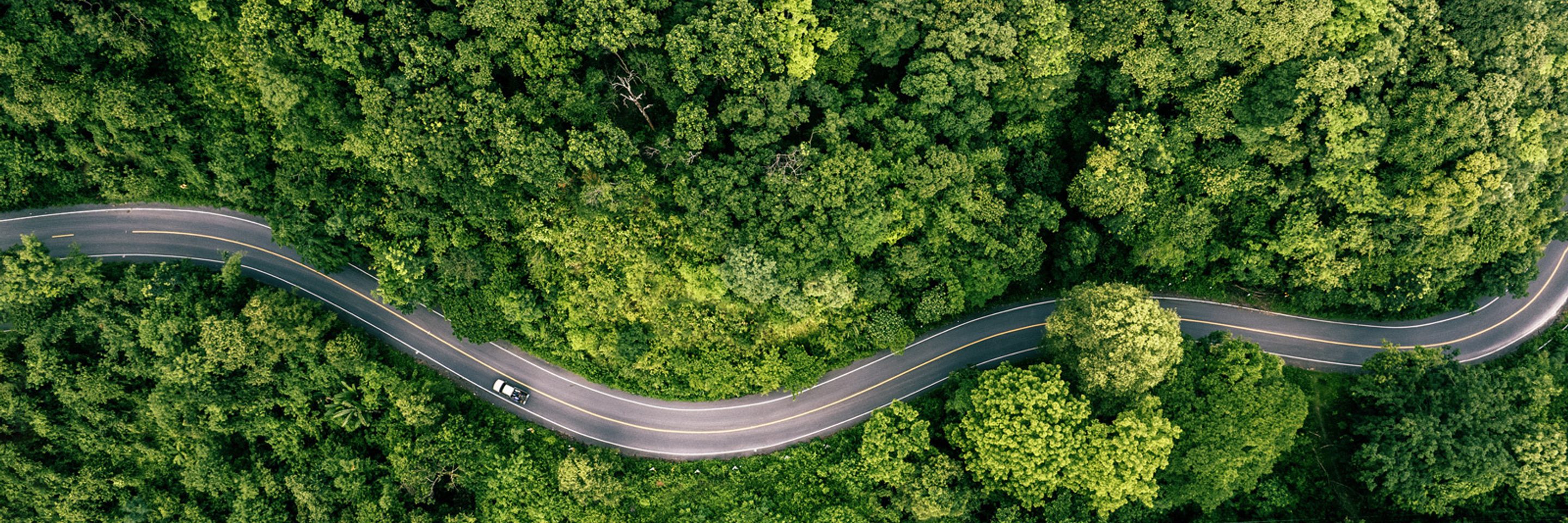 Adobe Stock 1564751246