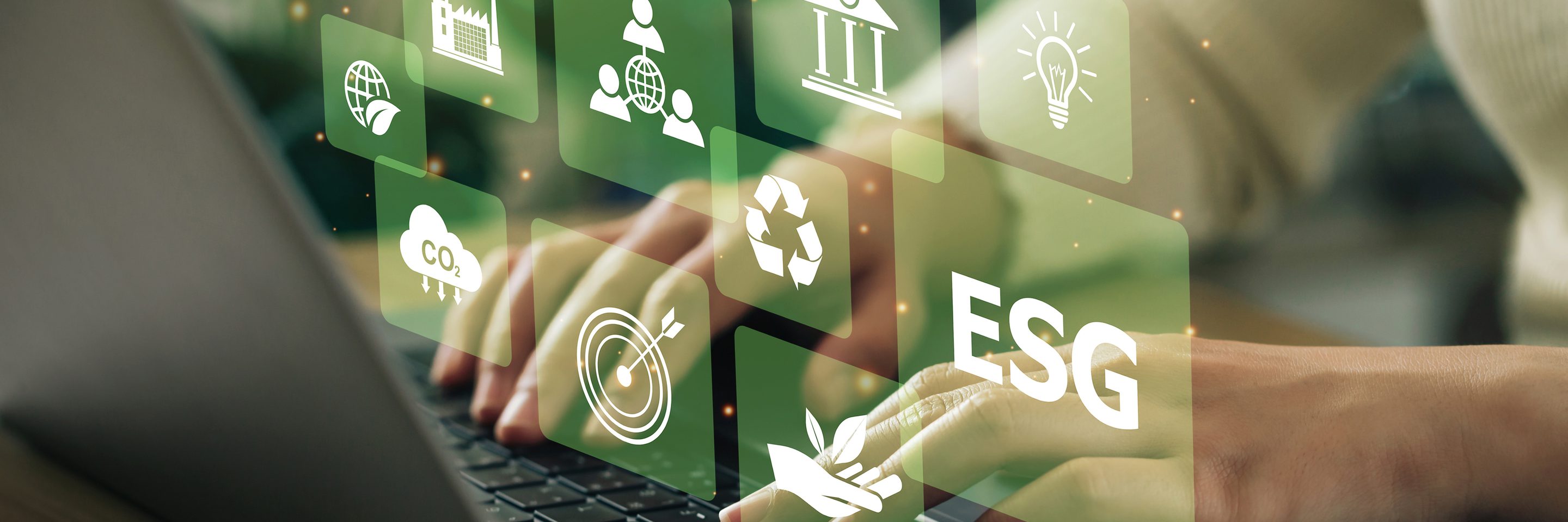 Adobe Stock 516567542