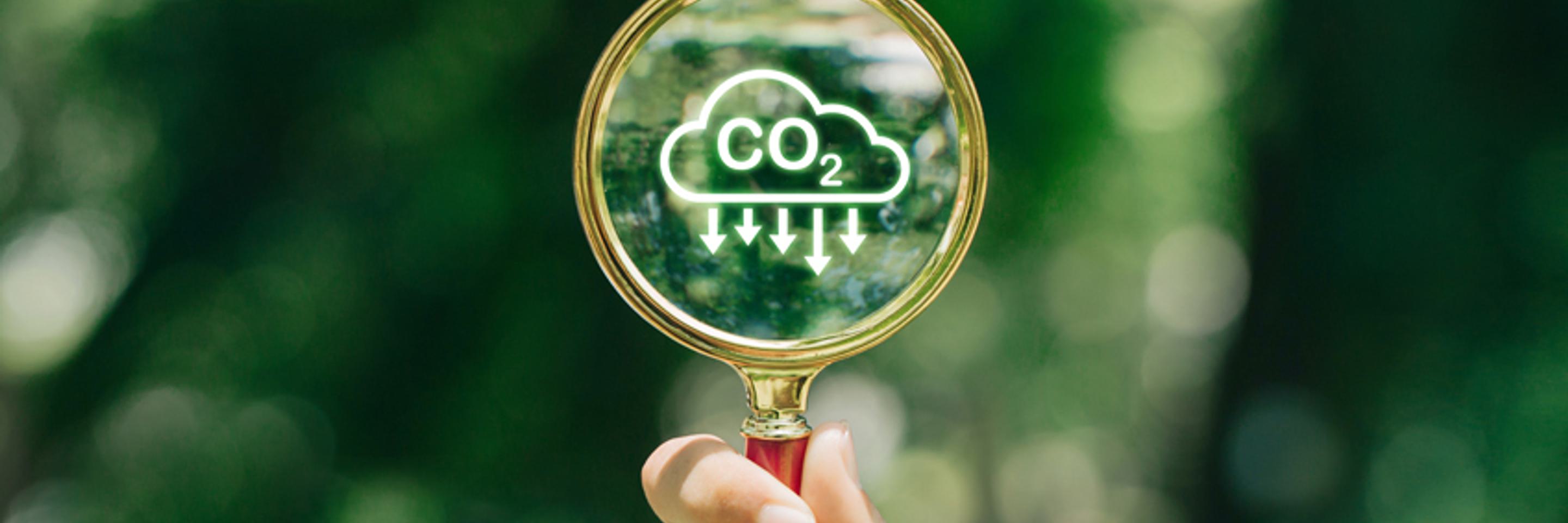 Carbono web