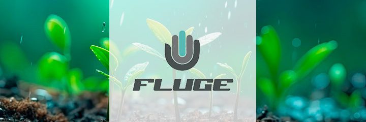 Fluje web
