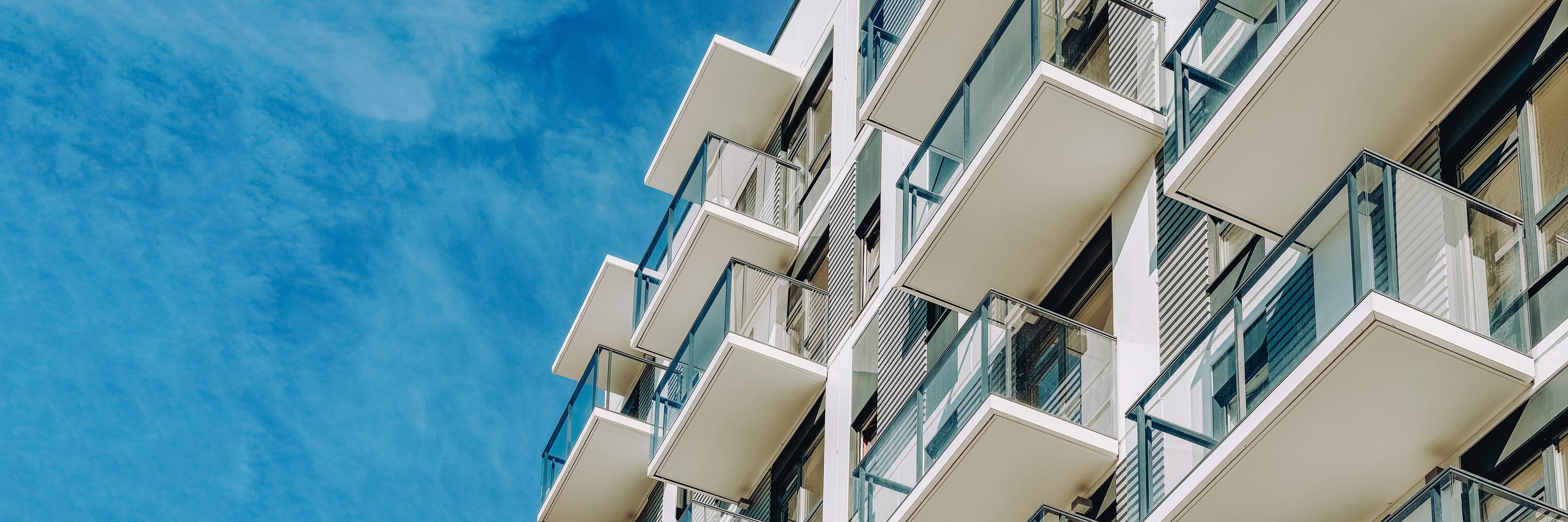 Adobe Stock 302582460