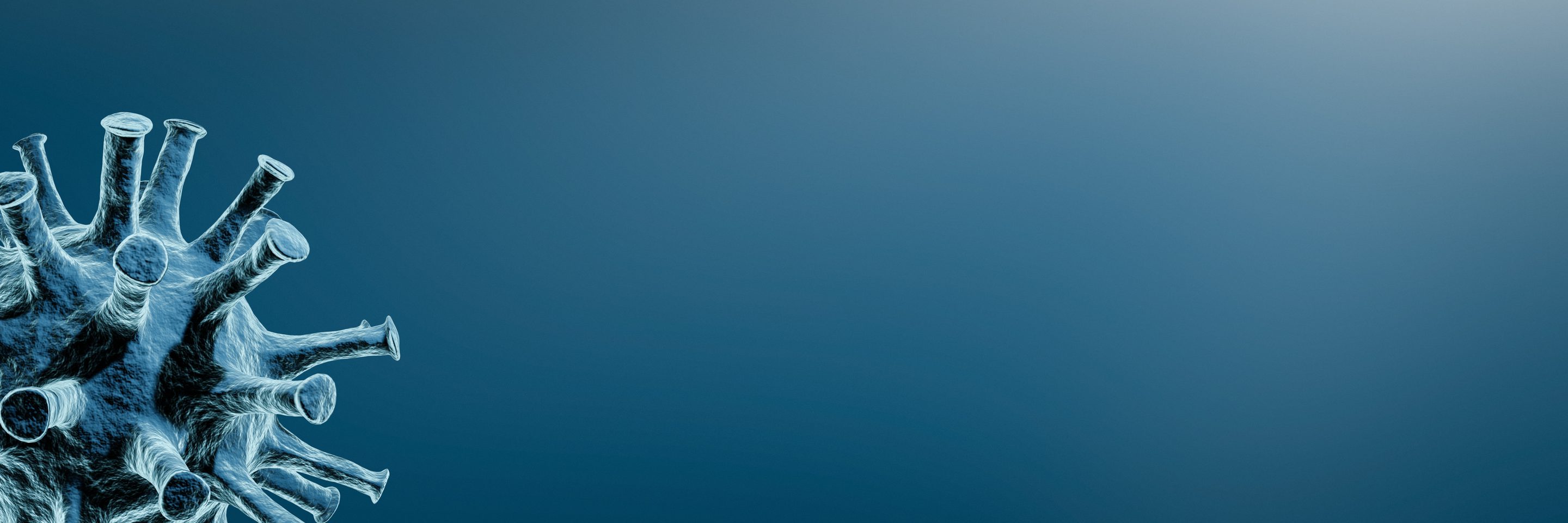 Adobe Stock 333508781 1