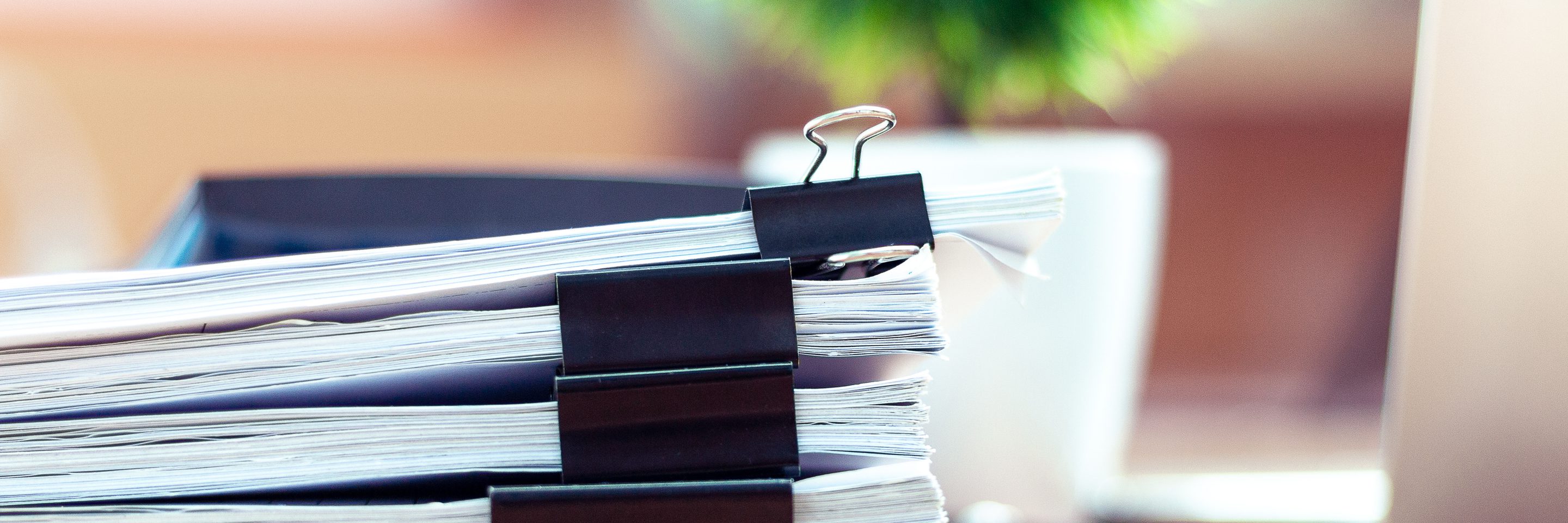 Adobe Stock 242002054