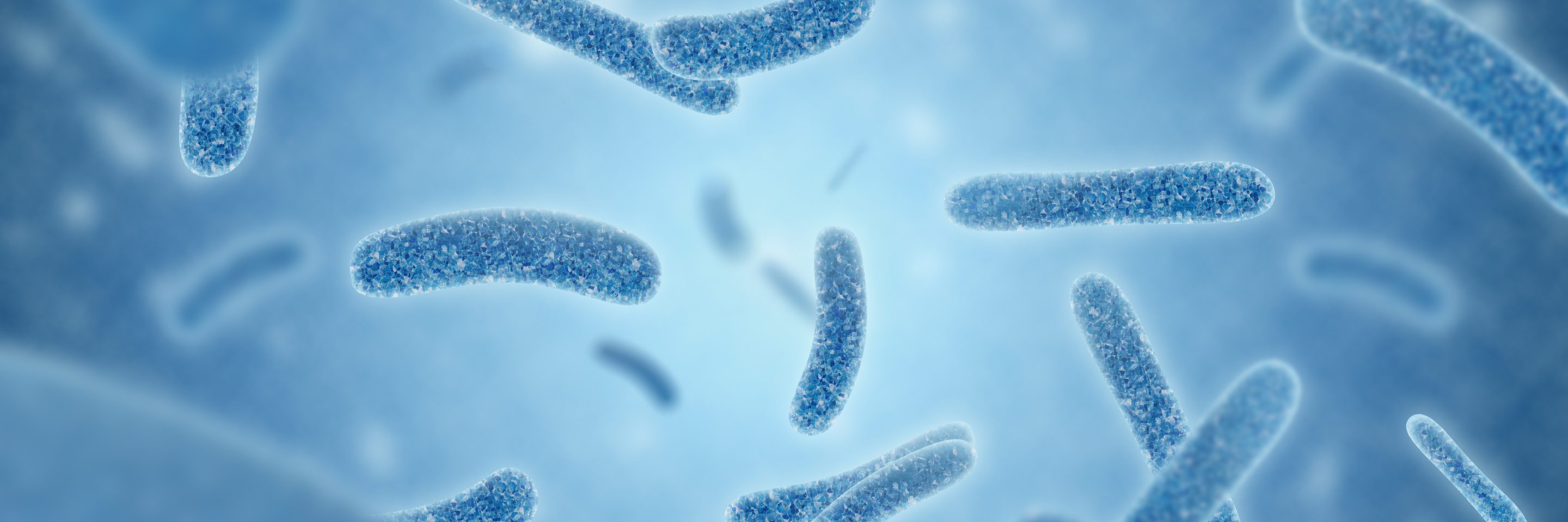 Adobe Stock 349876869