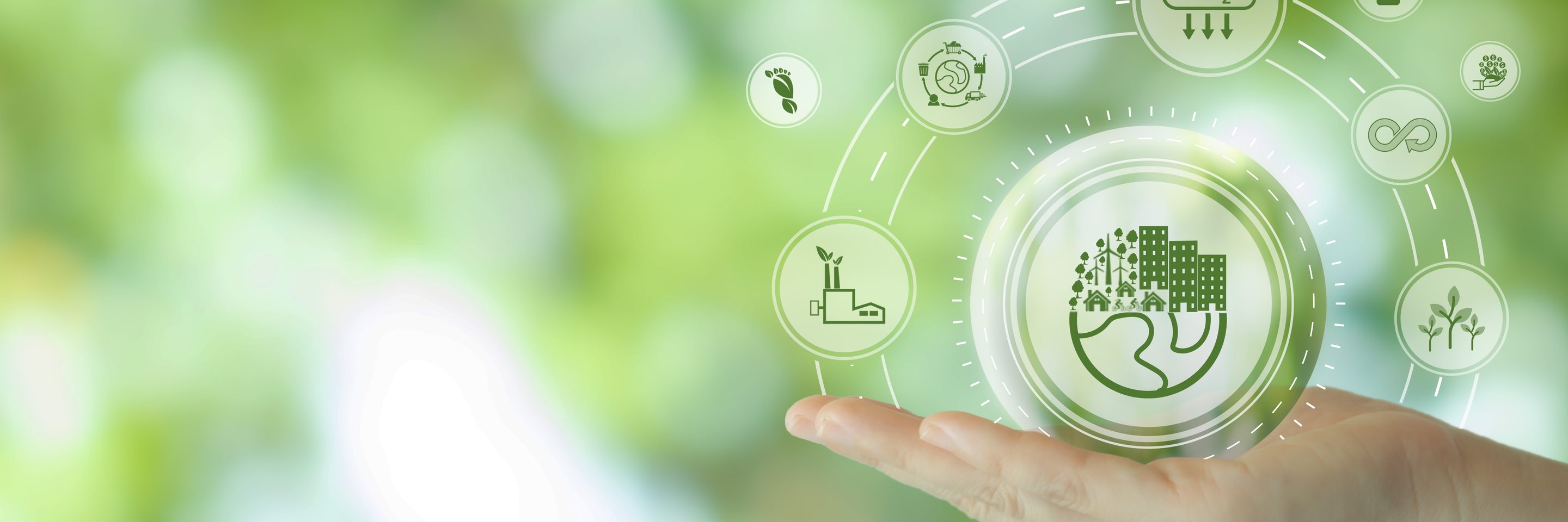 Adobe Stock 527794026