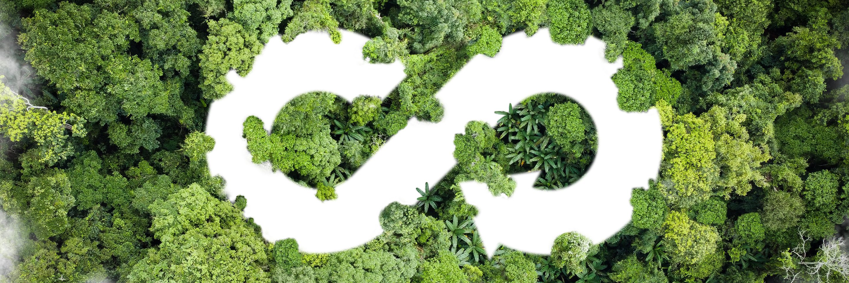 Adobe Stock 529409931