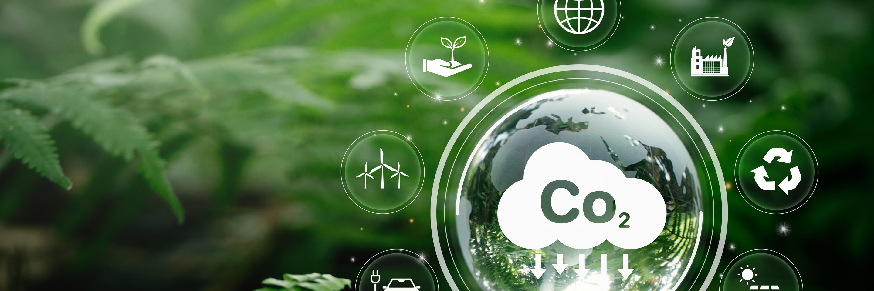 Adobe Stock 594960760