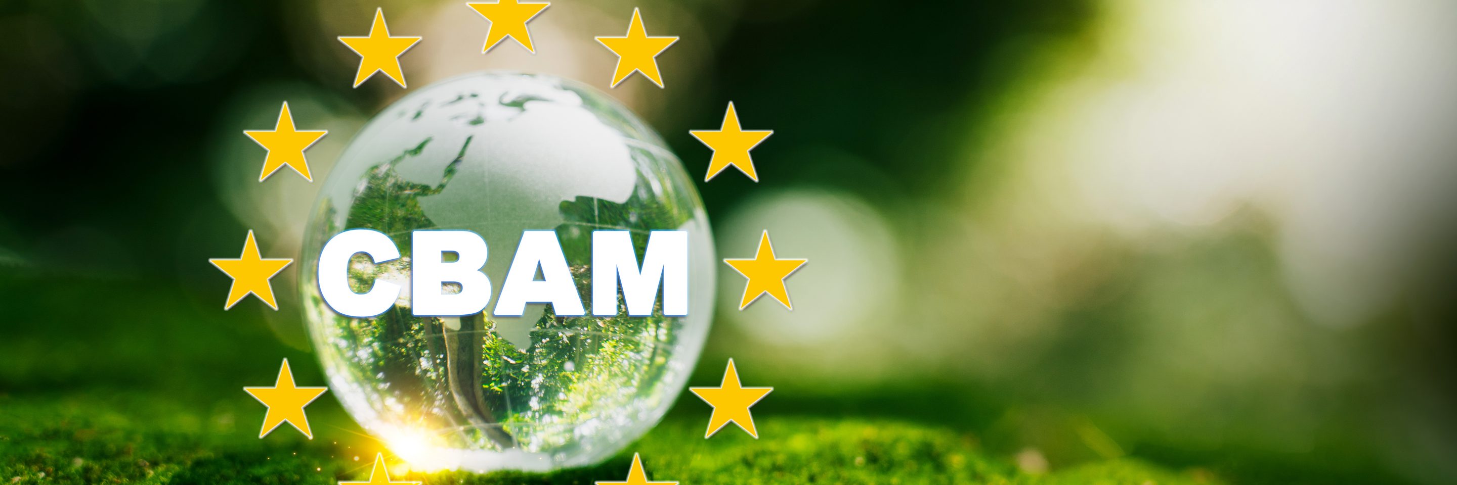 Adobe Stock 679509488