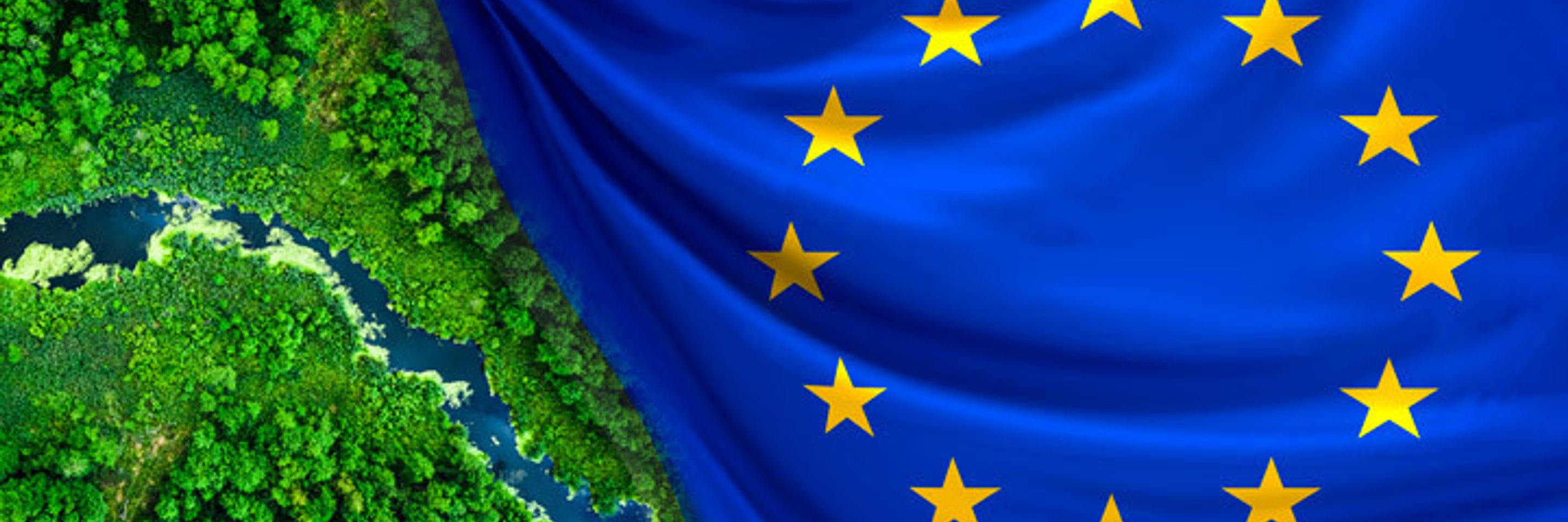 Greenwashing web