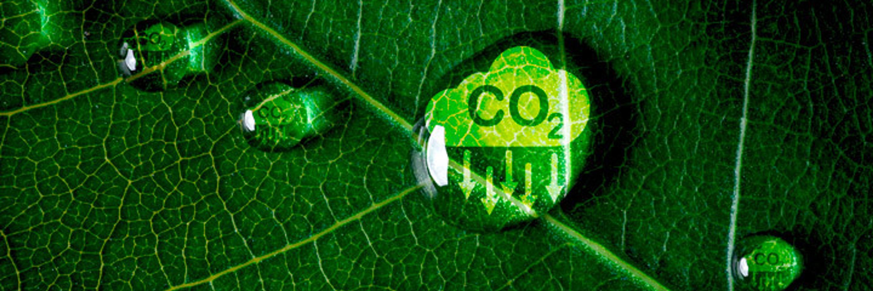 Huella carbono