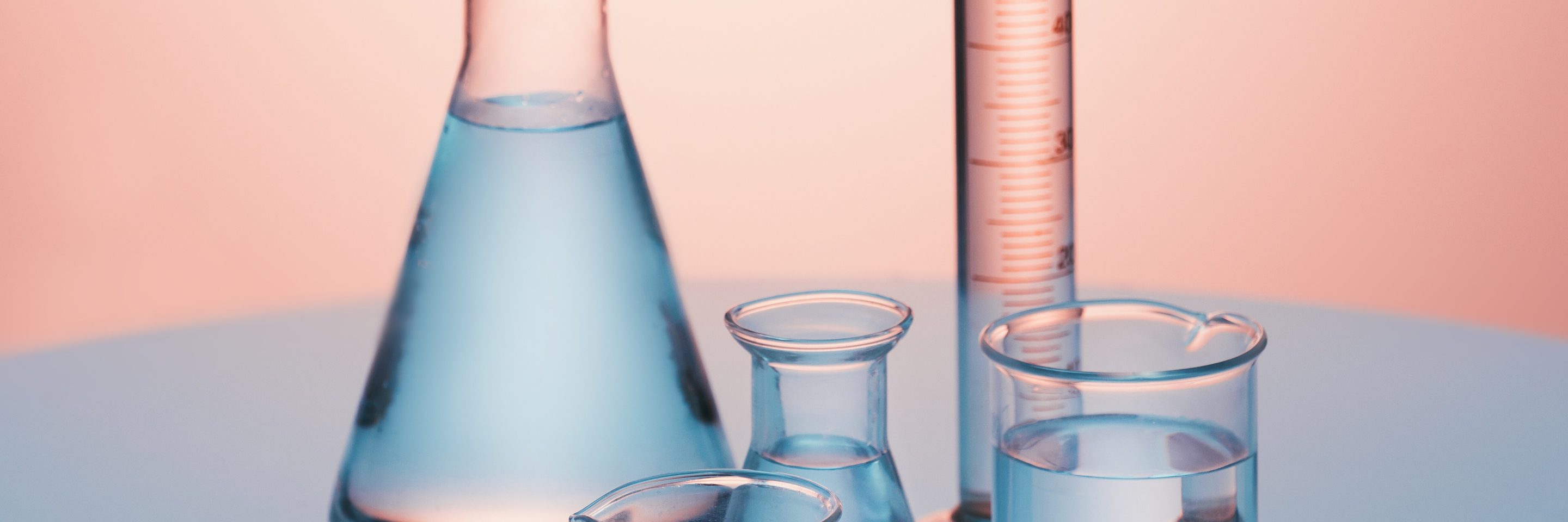 Adobe Stock 297783362