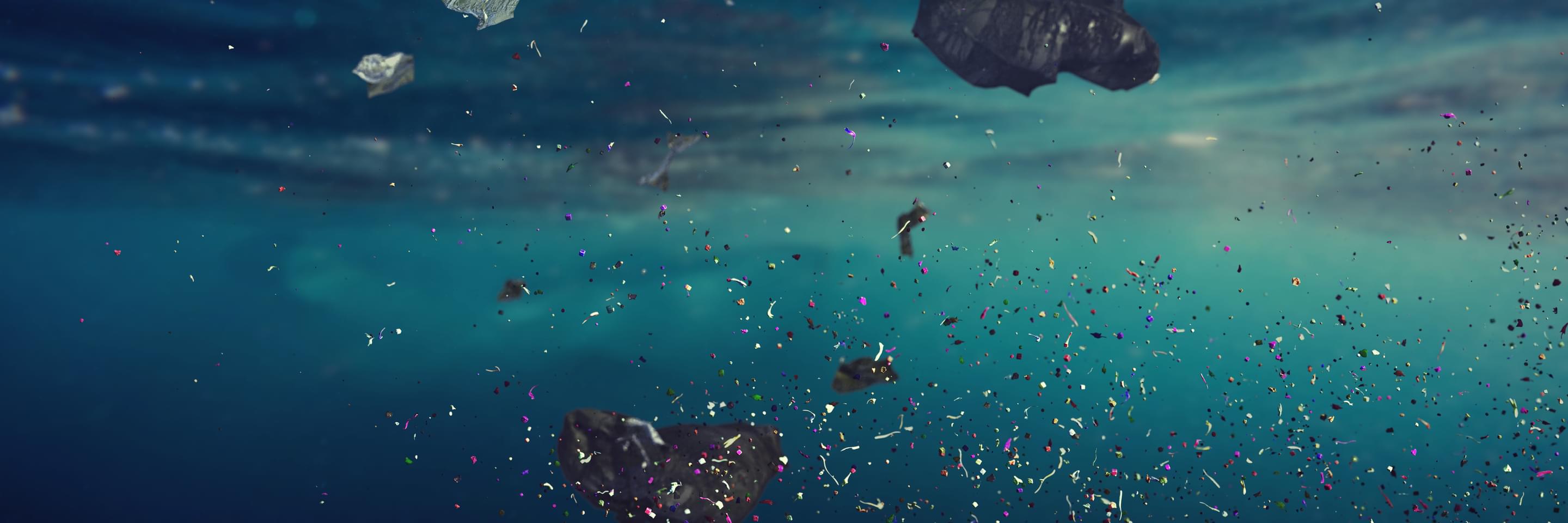 Adobe Stock 303753412