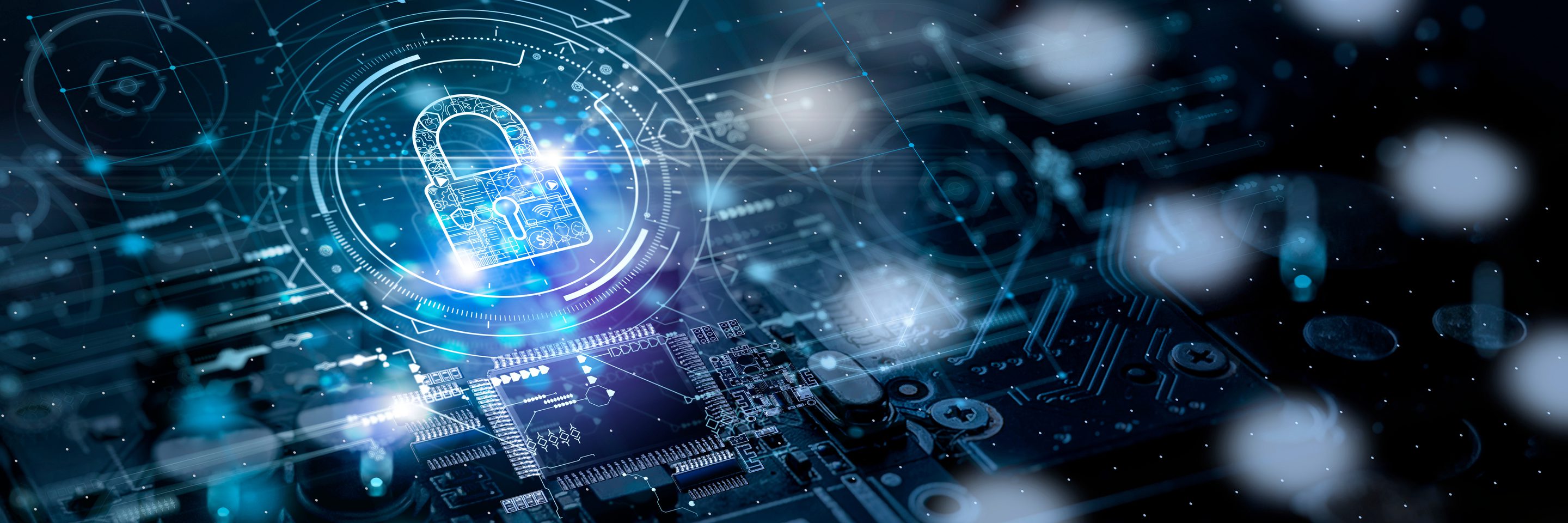 Adobe Stock 497954909