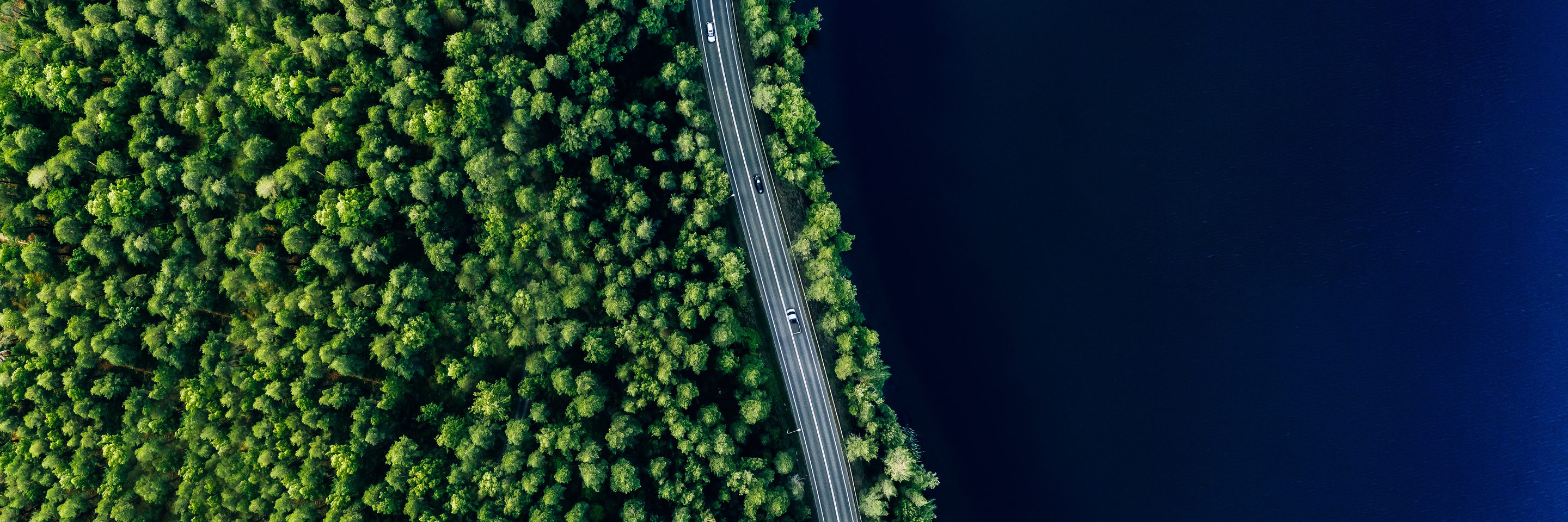 Adobe Stock 585823738