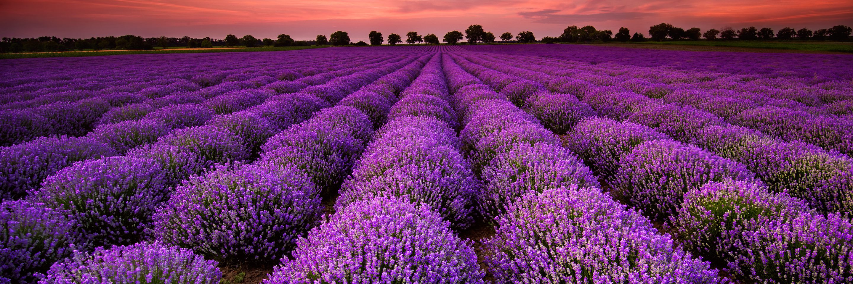 Adobe Stock 64900250