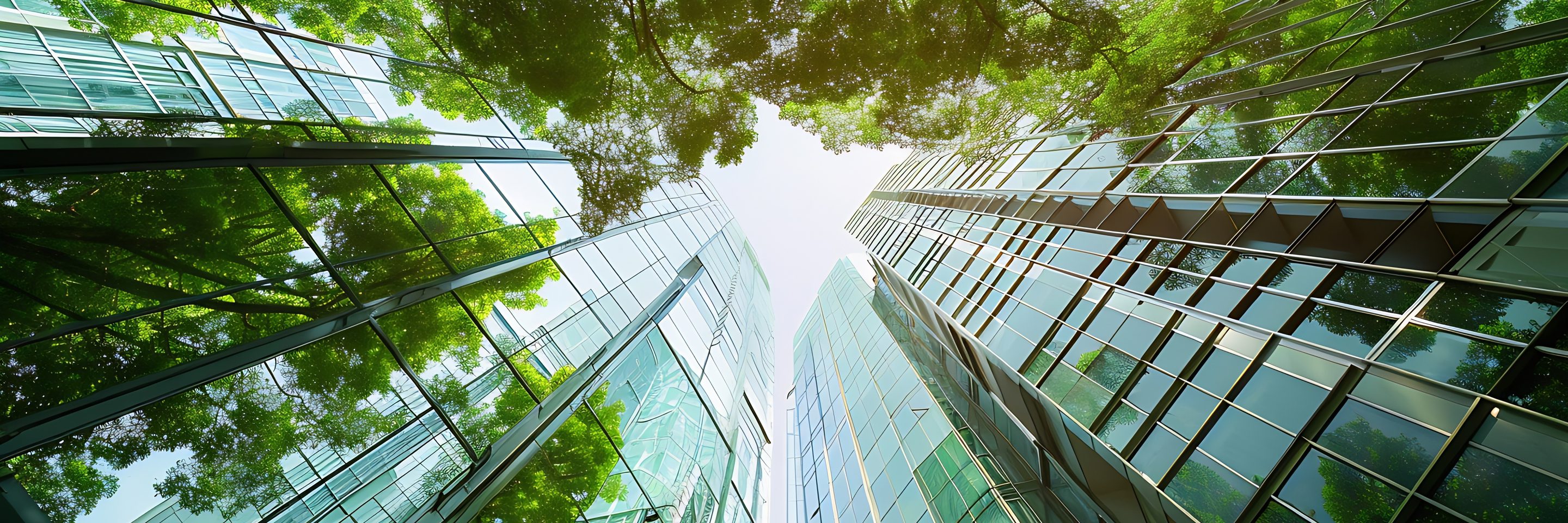 Adobe Stock 815349088