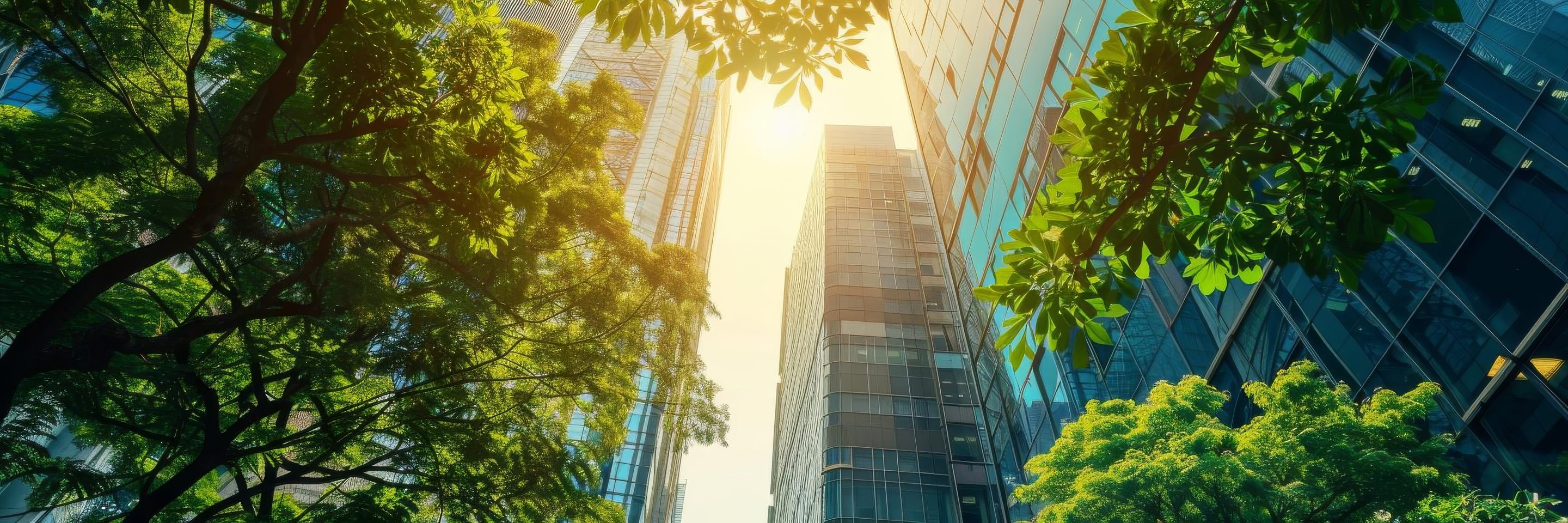 Adobe Stock 829881876