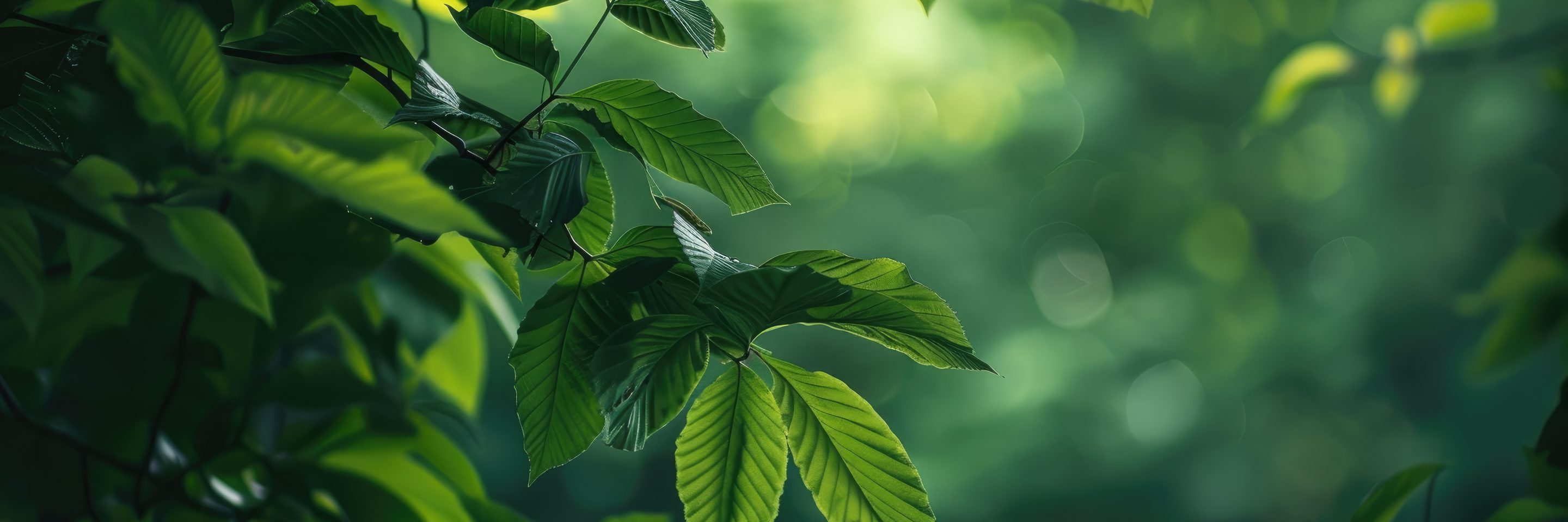 Adobe Stock 855230490