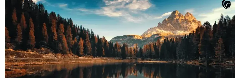 Infografías Intranet 2024 1