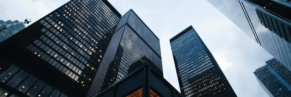 Bt fusión