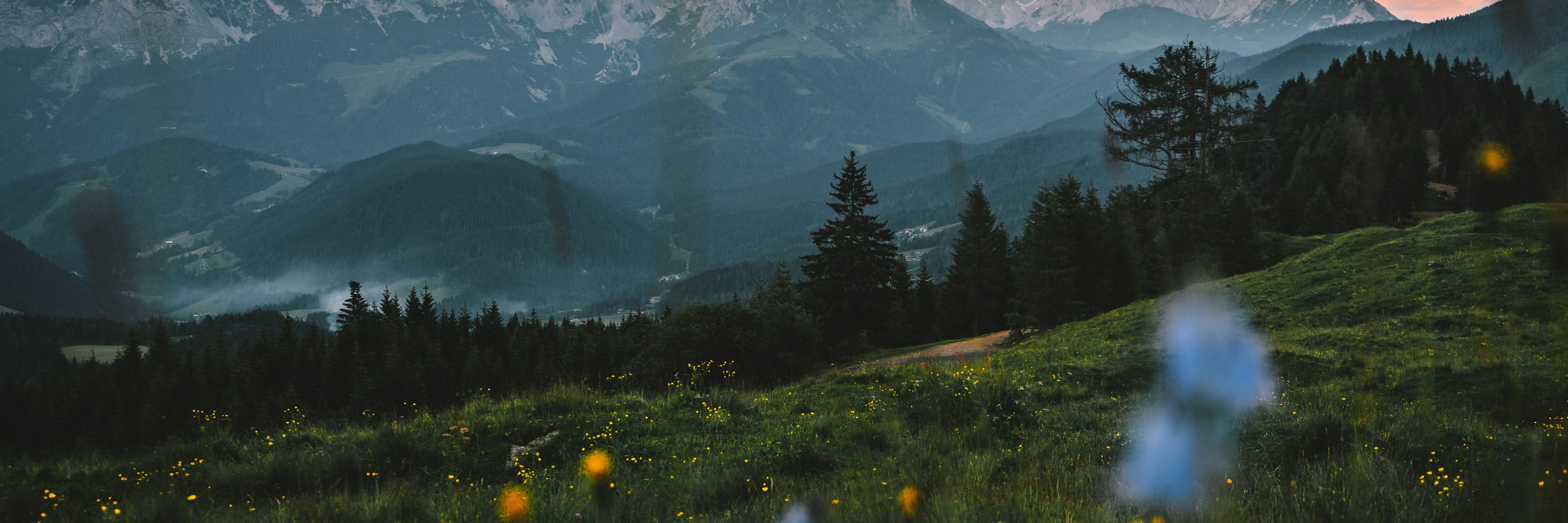 Adobe Stock 425643129 1