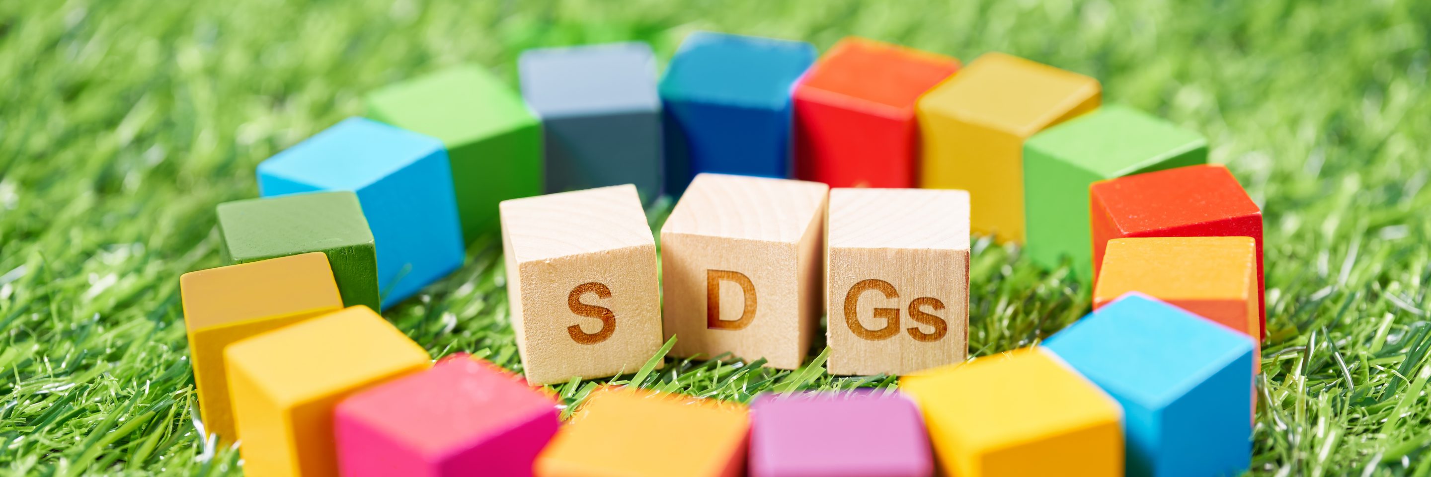 Adobe Stock 528965762