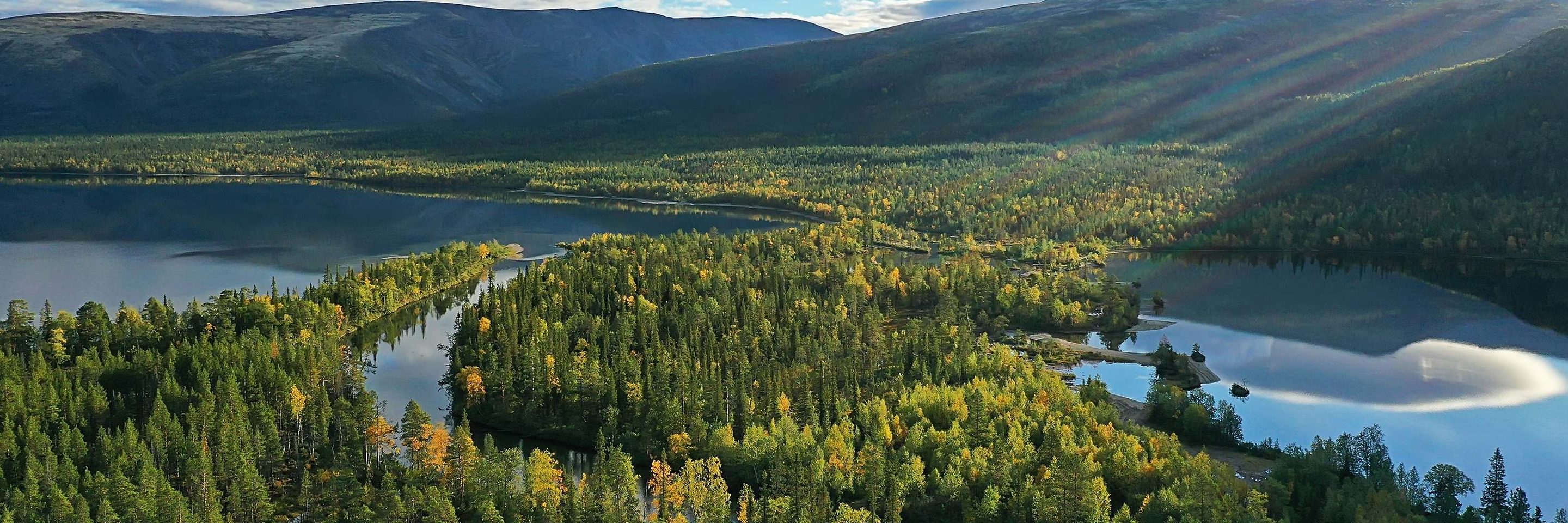 Adobe Stock 447225922