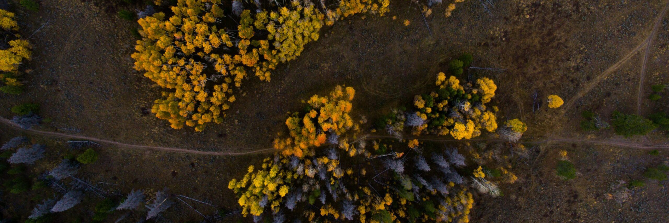 107 AERIAL 2 scaled