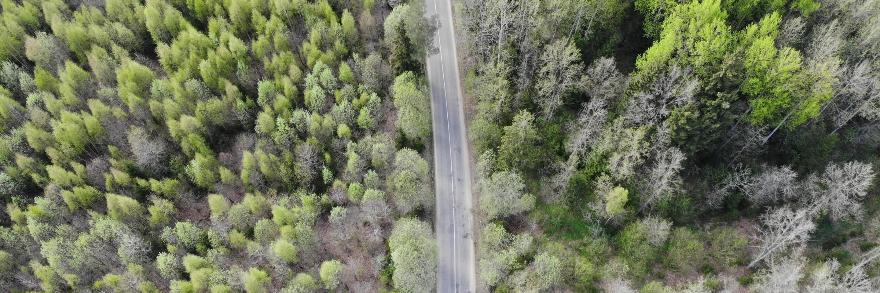 150 AERIAL scaled
