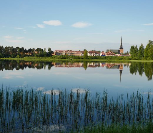 Mora