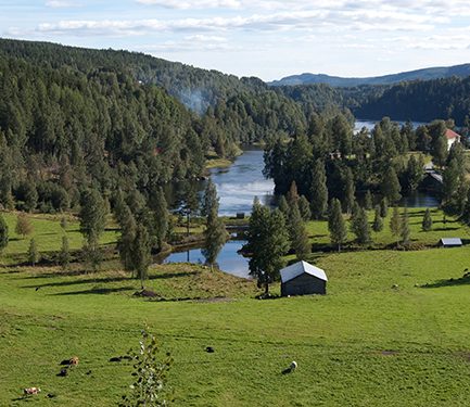 Ramsele
