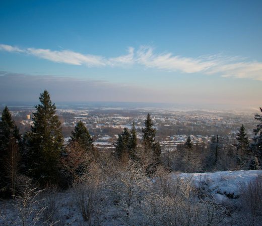 Skövde