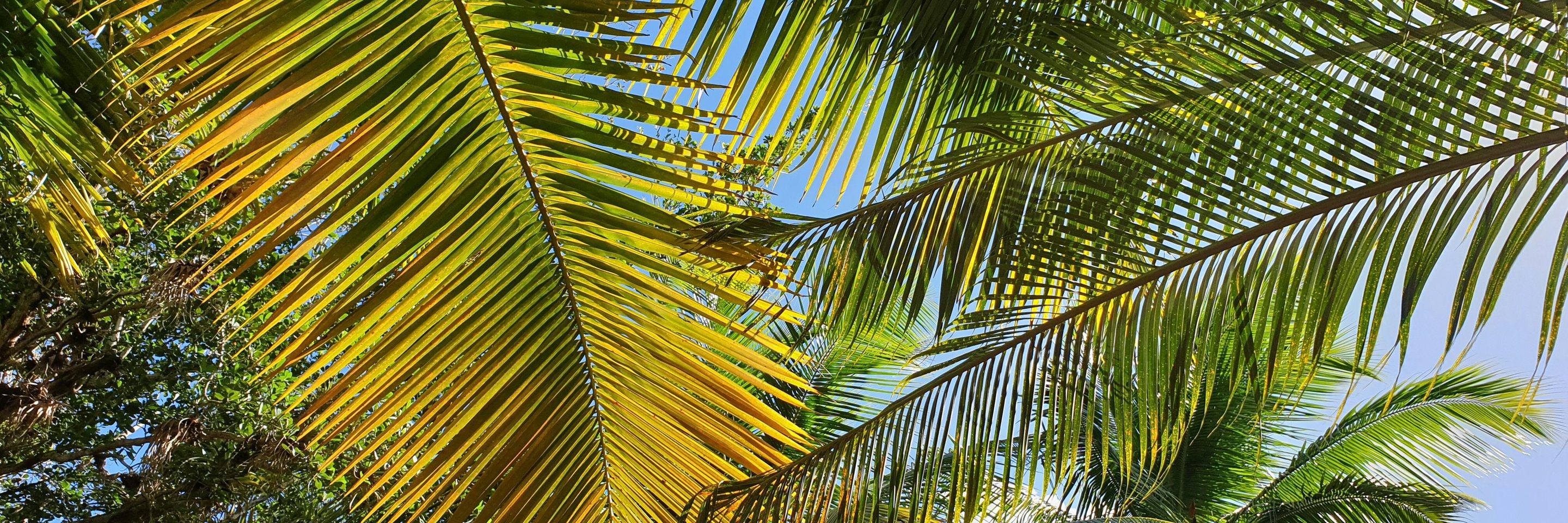 16 conny schneider Uxgkmi9g40o unsplash