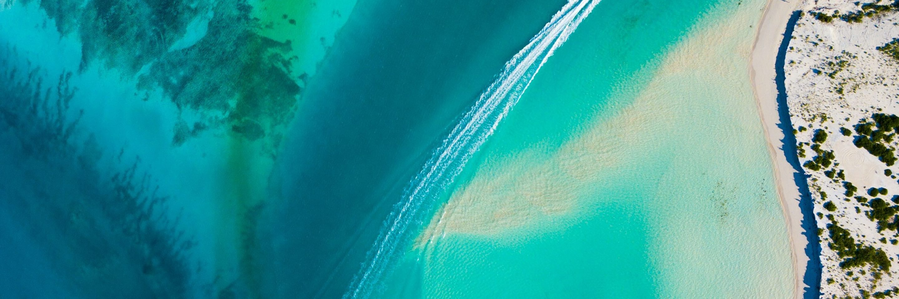 57 romello williams Vy Xh Qp X9 VG8 unsplash