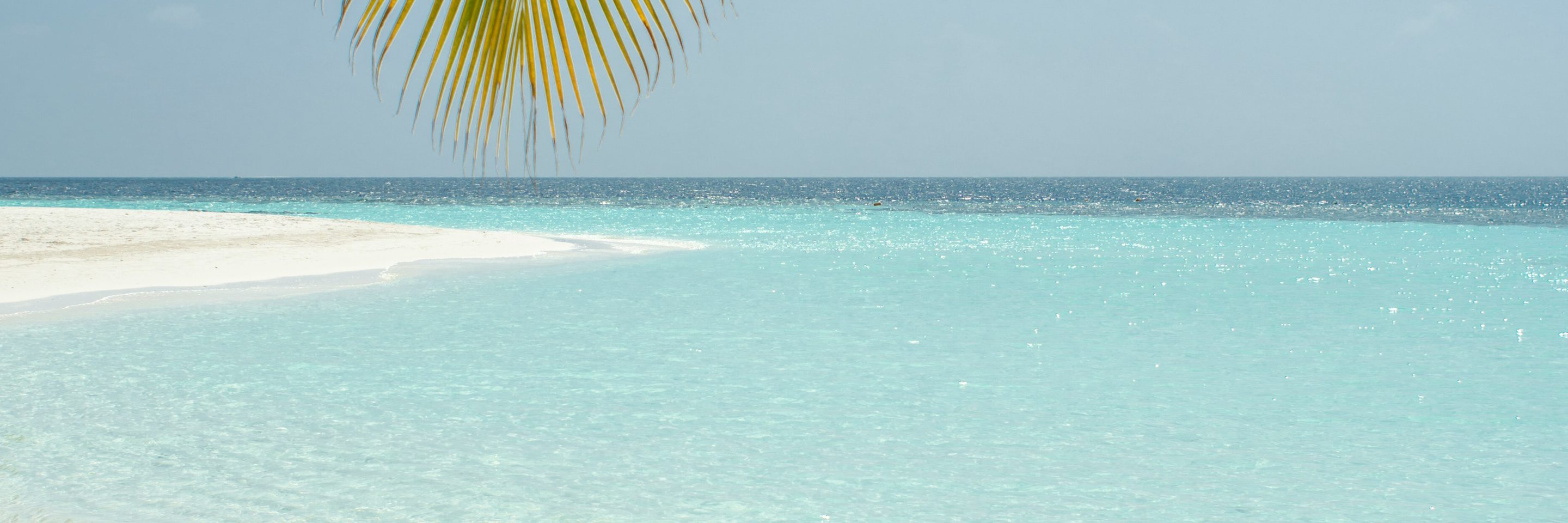 6 ali abdul rahman 9 Itl 03h Lao unsplash