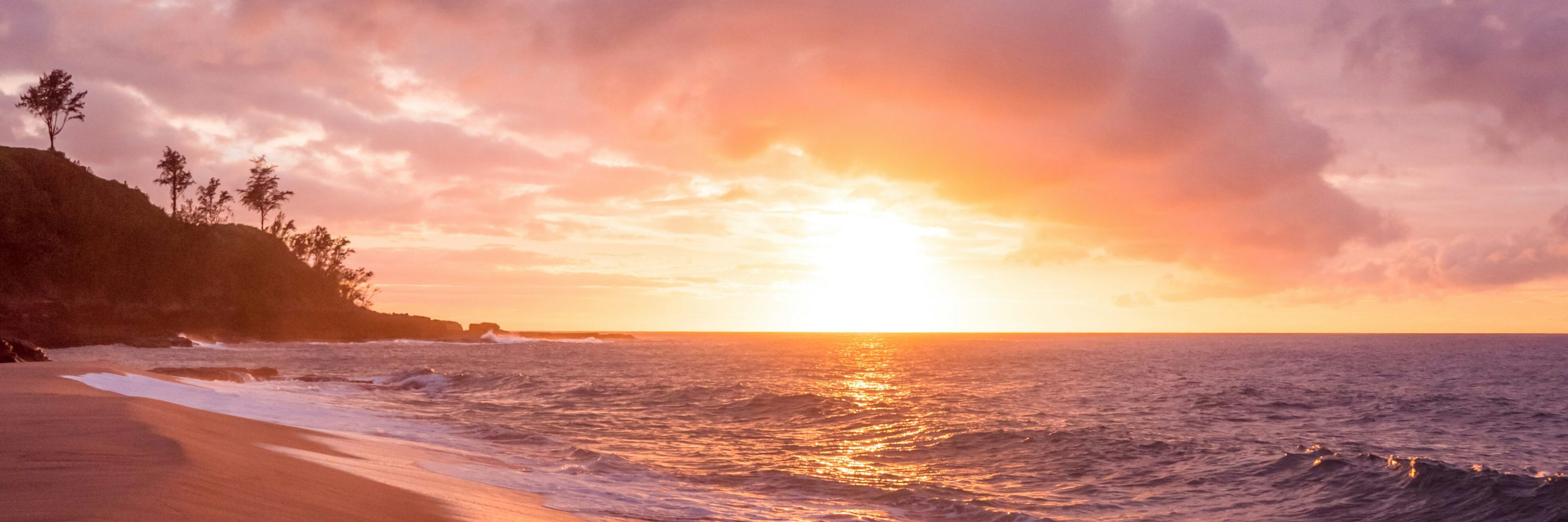 TBC cristofer maximilian u QDR Dqp YJHI unsplash