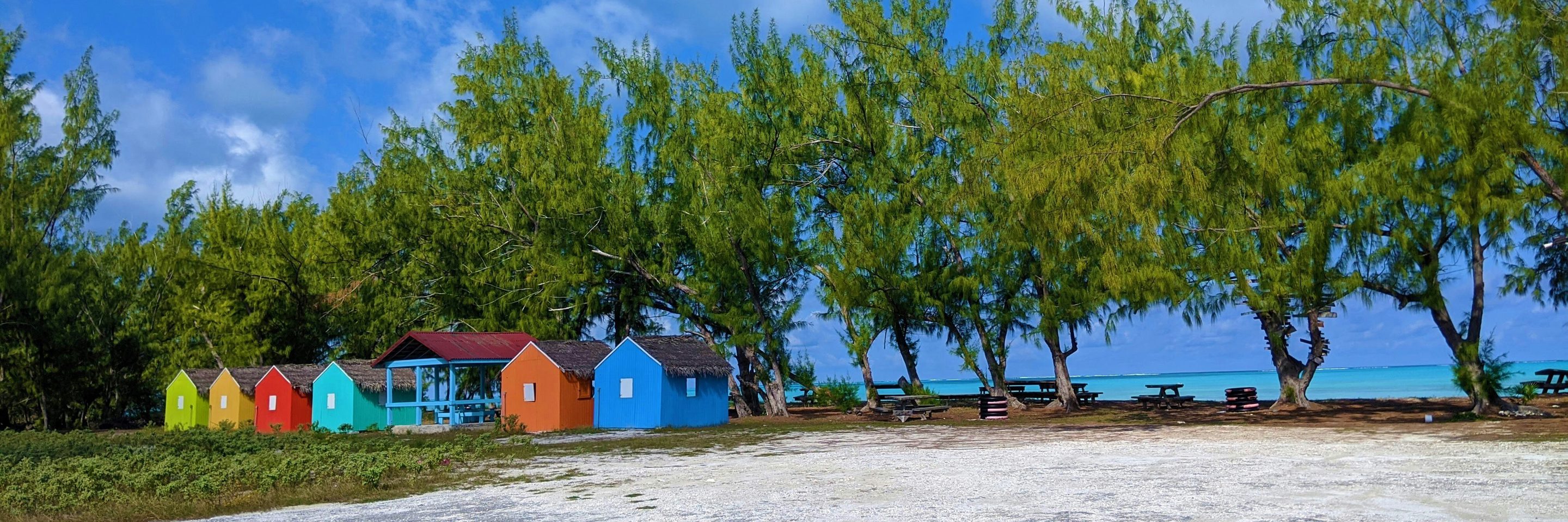 Angela smart oncn zxp SDU unsplash