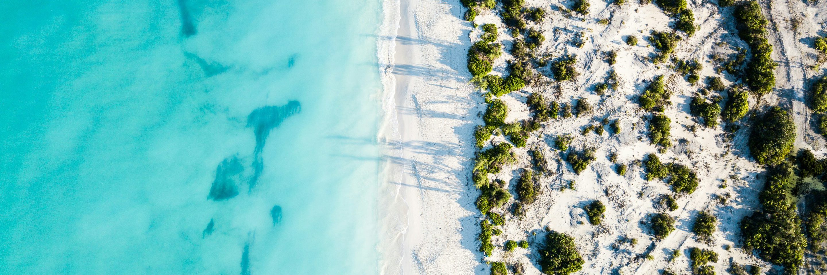 Romello williams ftx Pl9s Ak0 unsplash