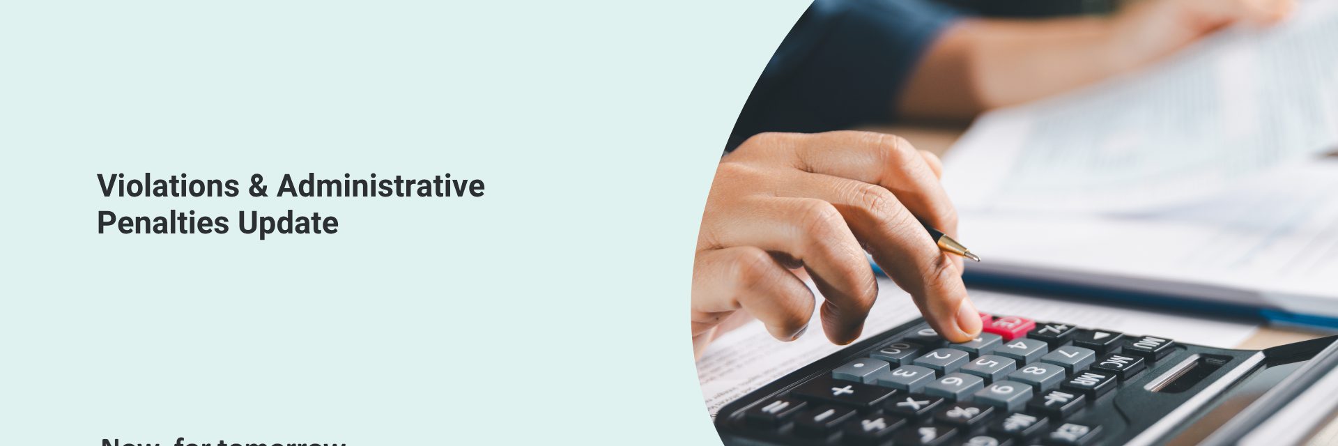 UAE E Invoicing 33