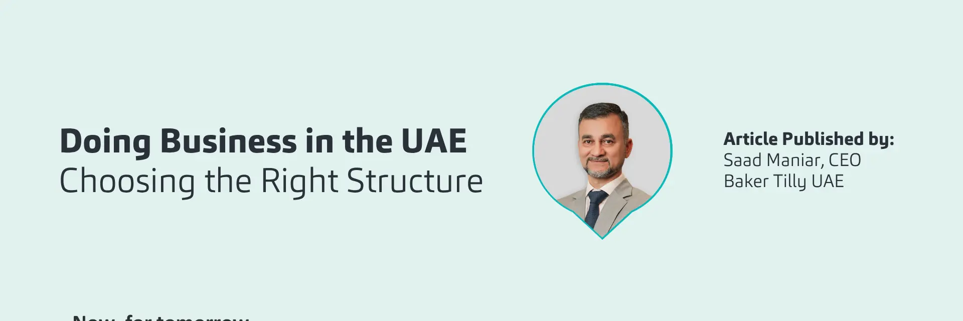 UAE E Invoicing 38