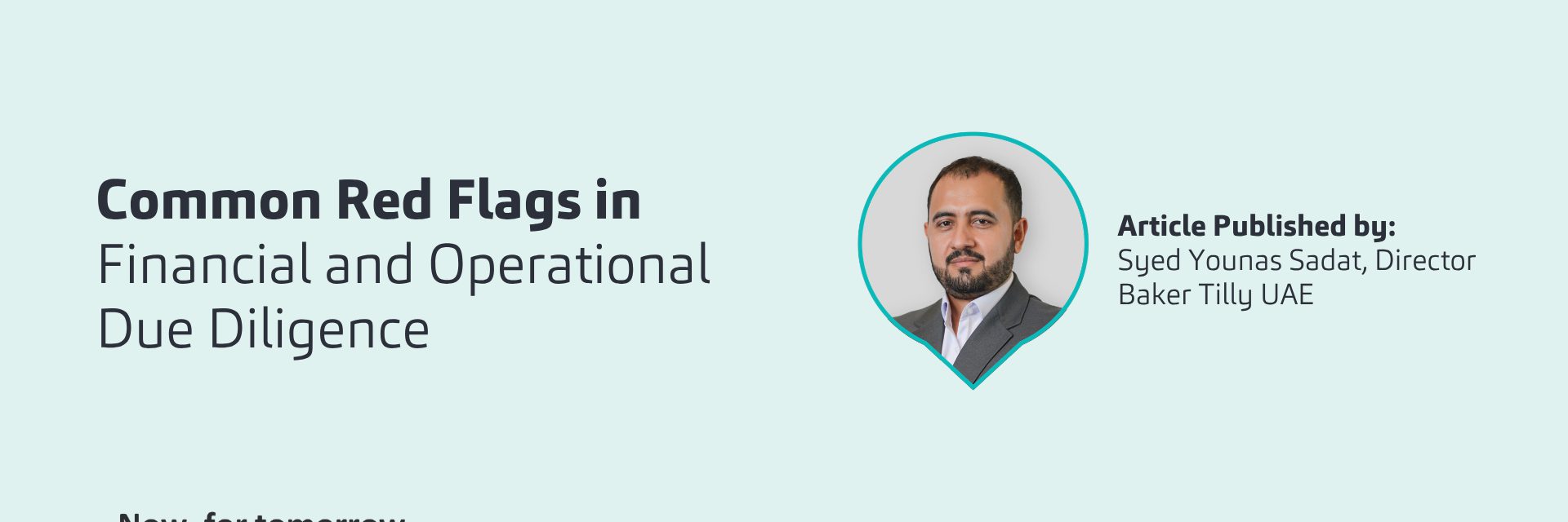 UAE E Invoicing 47