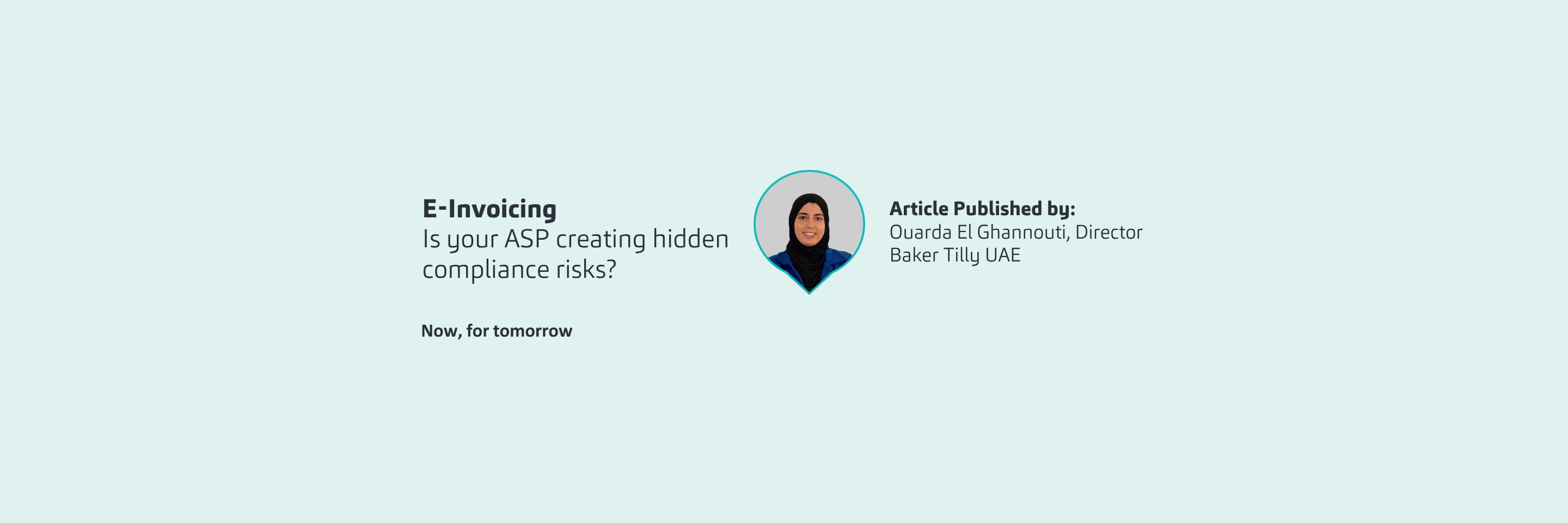 UAE E Invoicing 93