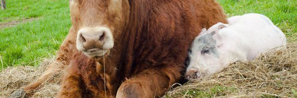 2540