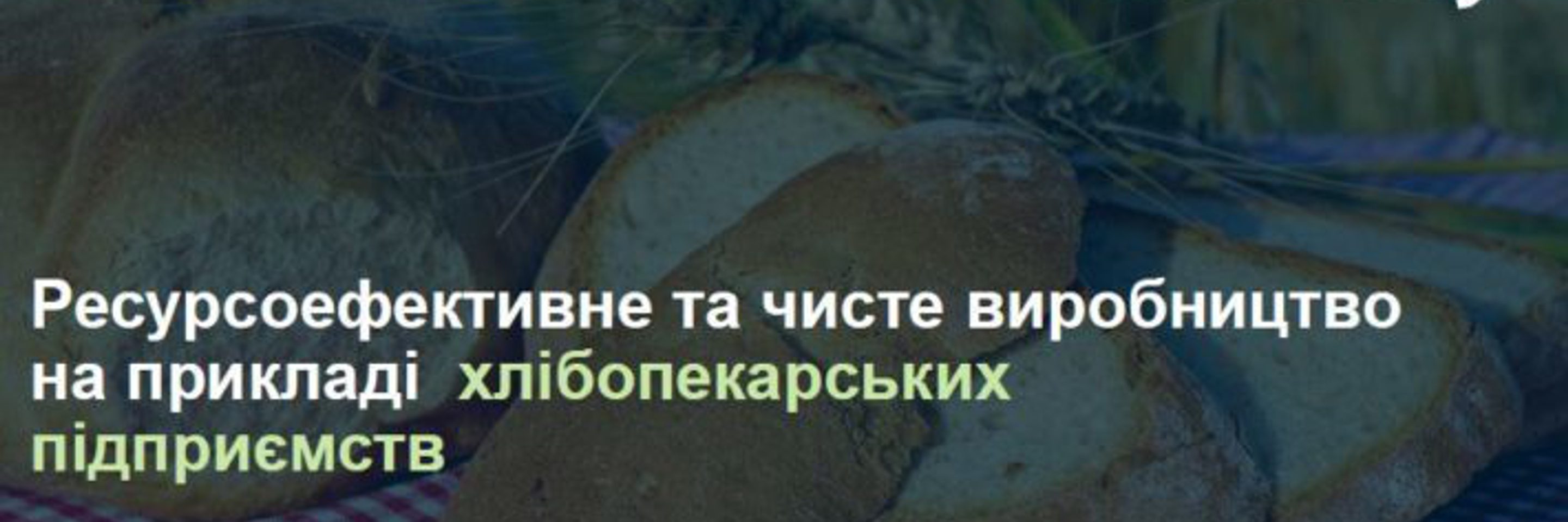 Hleb e1562663319899