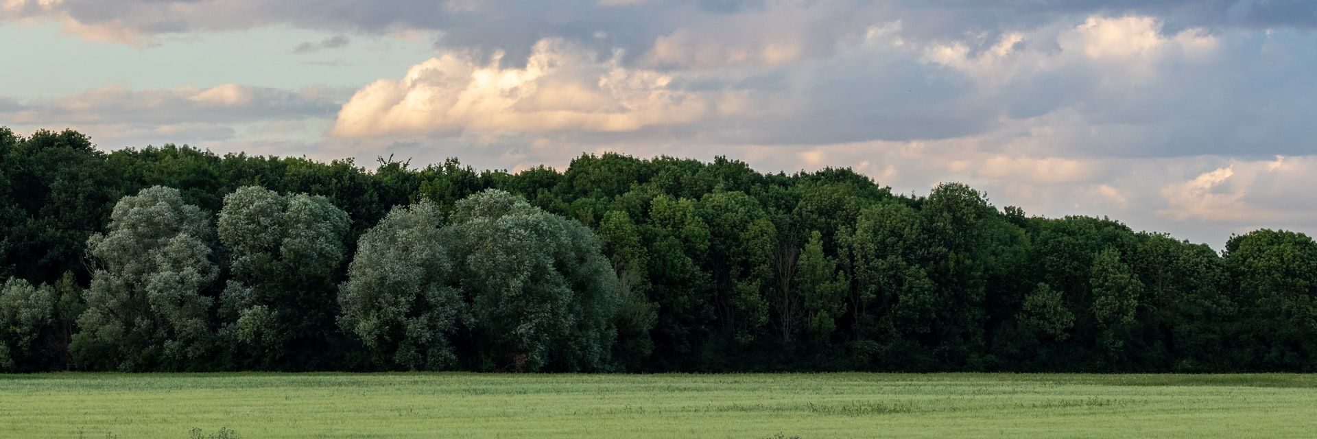 17 AR
