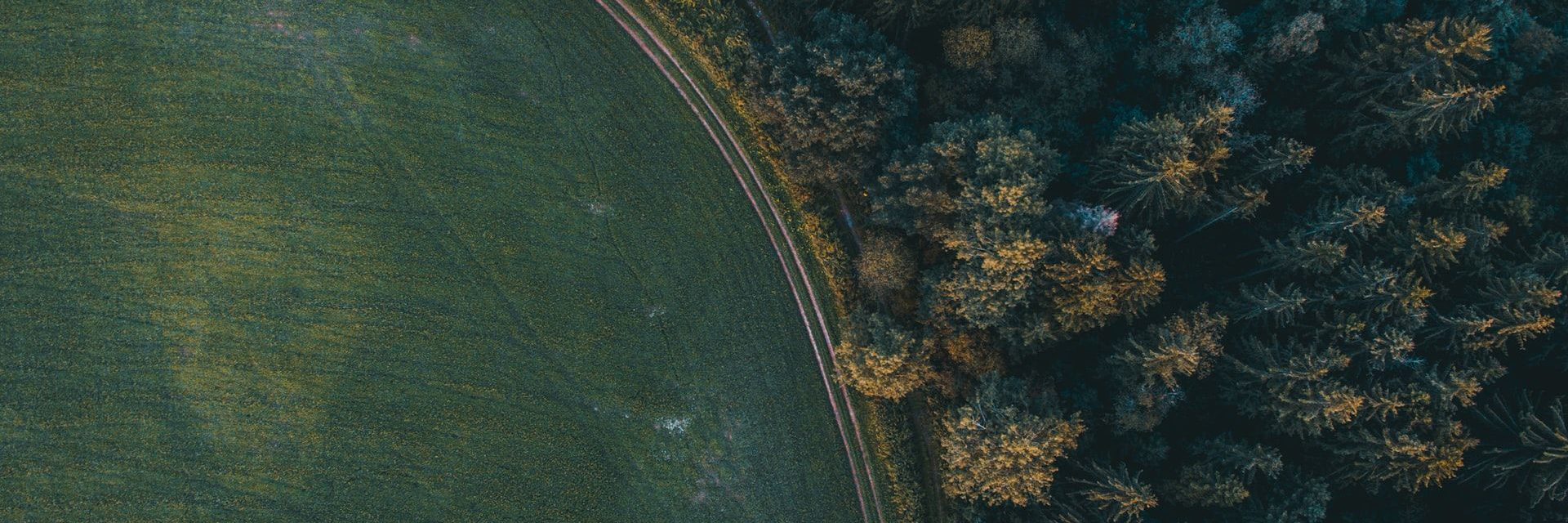 28 AR