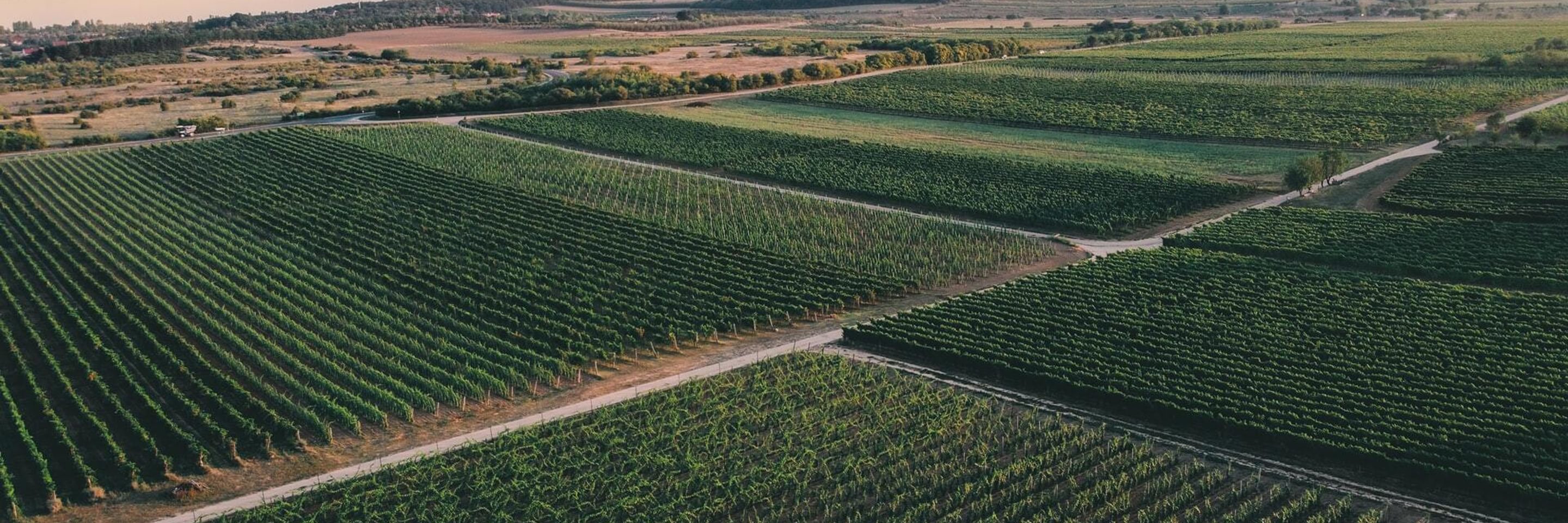 Belmont BVI | Investment business